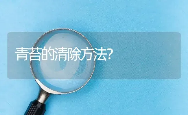 青苔的清除方法? | 养殖问题解答