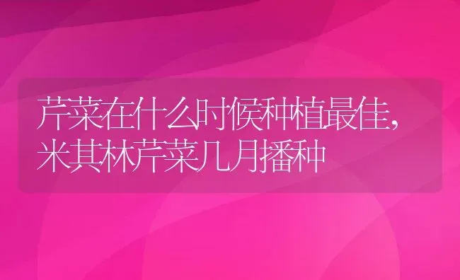 芹菜在什么时候种植最佳,米其林芹菜几月播种 | 养殖常见问题