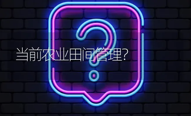 当前农业田间管理? | 养殖问题解答