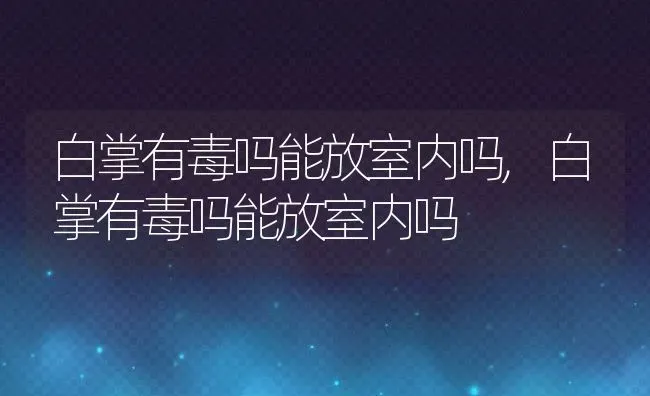 白掌有毒吗能放室内吗,白掌有毒吗能放室内吗 | 养殖常见问题