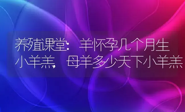 养殖课堂:羊怀孕几个月生小羊羔,母羊多少天下小羊羔 | 养殖常见问题