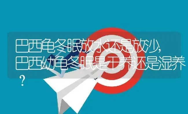 巴西龟冬眠放水还是放沙,巴西幼龟冬眠是干养还是湿养？ | 养殖常见问题
