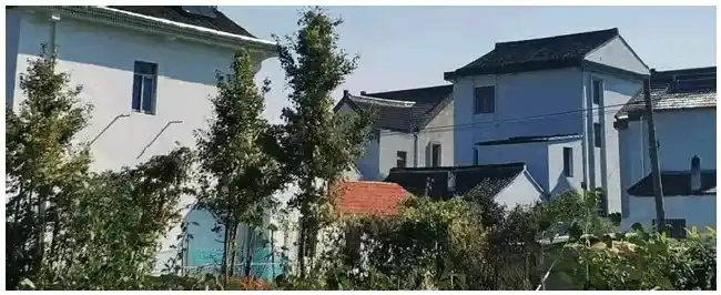 美国鹧鸪养殖技术 | 科普知识