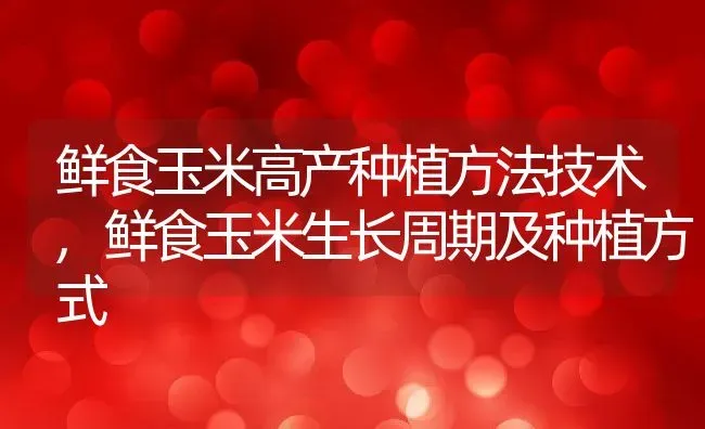 鲜食玉米高产种植方法技术,鲜食玉米生长周期及种植方式 | 养殖常见问题