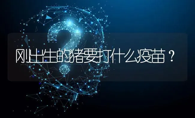 玉米地下害虫蛴螬如何防治? | 养殖问题解答