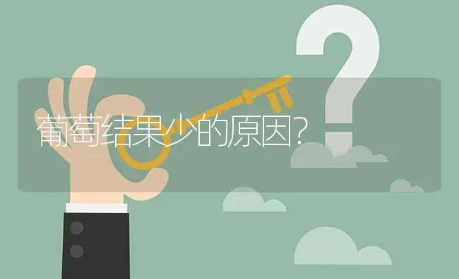 葡萄结果少的原因? | 养殖问题解答