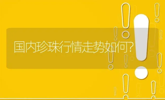 国内珍珠行情走势如何? | 养殖问题解答