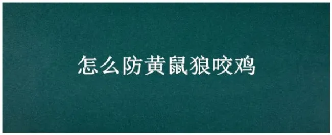 怎么防黄鼠狼咬鸡 | 农业问题
