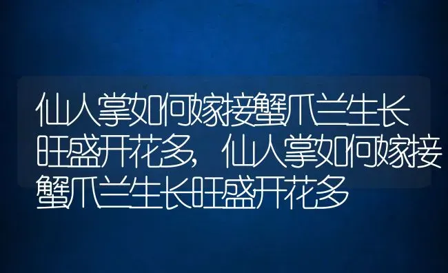 仙人掌如何嫁接蟹爪兰生长旺盛开花多,仙人掌如何嫁接蟹爪兰生长旺盛开花多 | 养殖常见问题