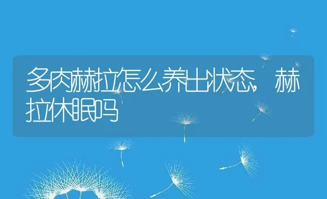 多肉赫拉怎么养出状态,赫拉休眠吗 | 养殖常见问题