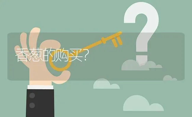 香葱的购买? | 养殖问题解答