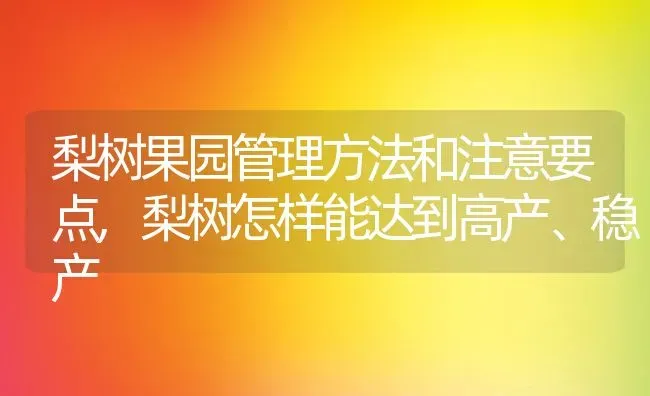 梨树果园管理方法和注意要点,梨树怎样能达到高产、稳产 | 养殖常见问题