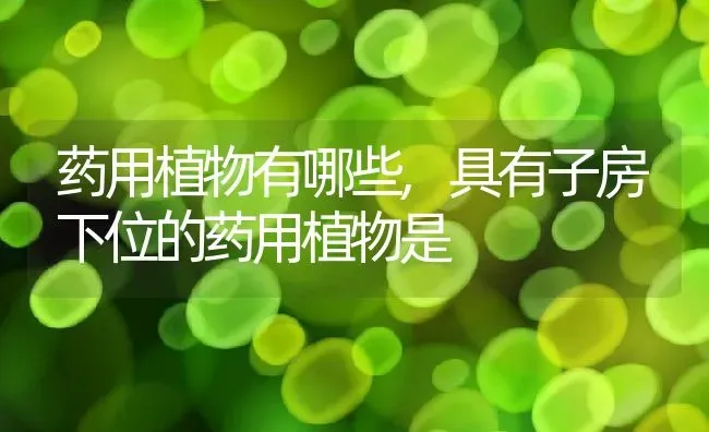 菊花象征着什么,菊花象征着什么 | 养殖常见问题