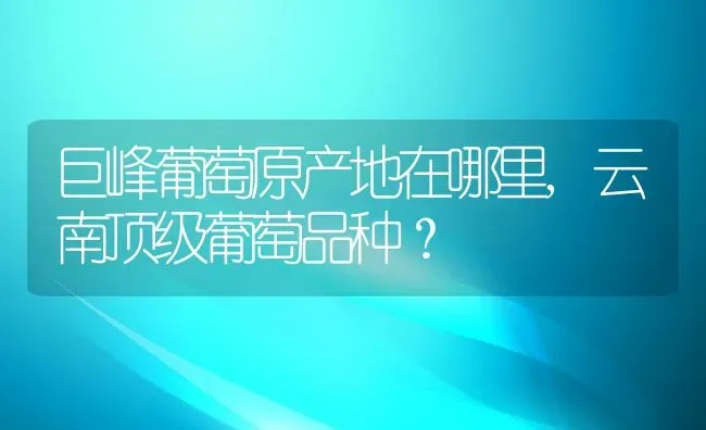 巨峰葡萄原产地在哪里,云南顶级葡萄品种？ | 养殖常见问题