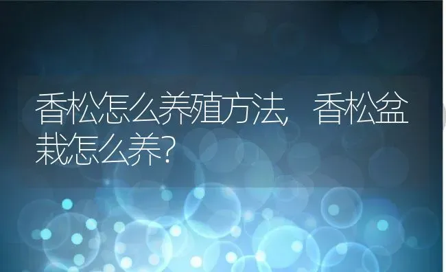 香松怎么养殖方法,香松盆栽怎么养？ | 养殖常见问题