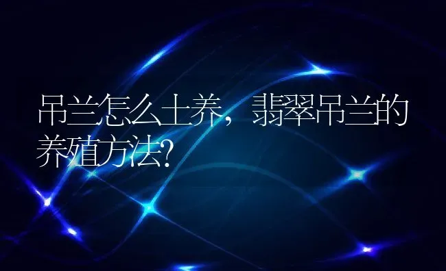 吊兰怎么土养,翡翠吊兰的养殖方法？ | 养殖常见问题