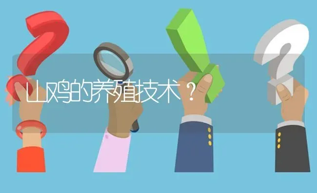 山鸡的养殖技术? | 养殖问题解答