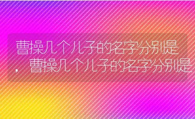 曹操几个儿子的名字分别是,曹操几个儿子的名字分别是 | 养殖常见问题