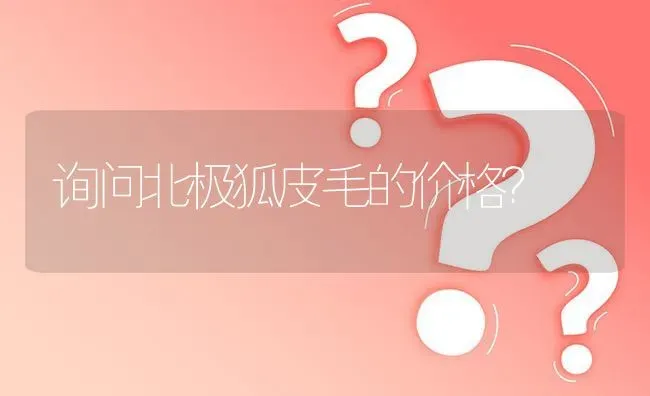 询问北极狐皮毛的价格? | 养殖问题解答