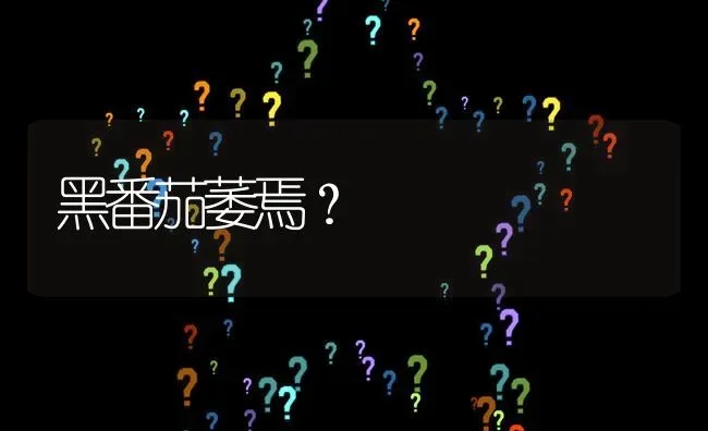 黑番茄萎焉? | 养殖问题解答