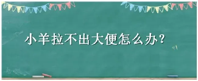 小羊拉不出大便怎么办 | 生活常识