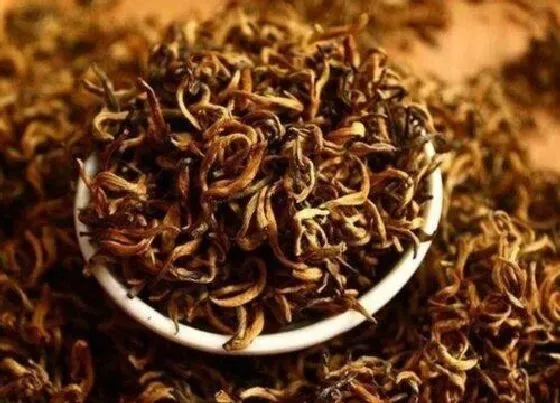 植物常识问题|红茶有哪些品种 常见的红茶种类名称及排名