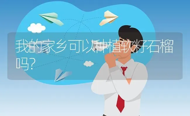 我的家乡可以种植软籽石榴吗? | 养殖问题解答