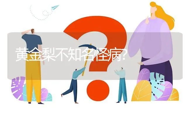 黄金梨不知名怪病? | 养殖问题解答