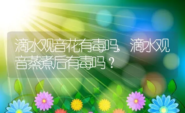 滴水观音花有毒吗,滴水观音蒸煮后有毒吗？ | 养殖常见问题