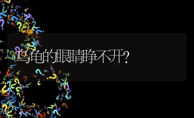 乌龟的眼睛睁不开? | 养殖问题解答