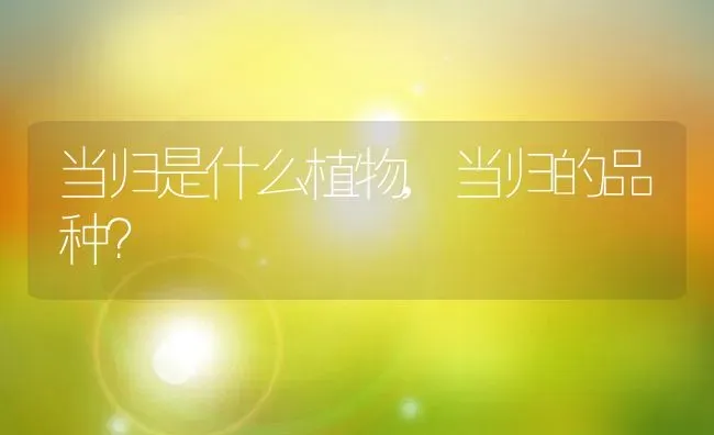 当归是什么植物,当归的品种？ | 养殖常见问题