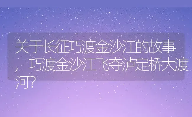 关于长征巧渡金沙江的故事,巧渡金沙江飞夺泸定桥大渡河？ | 养殖常见问题