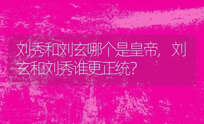 刘秀和刘玄哪个是皇帝,刘玄和刘秀谁更正统？ | 养殖常见问题