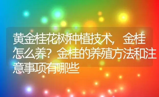 黄金桂花树种植技术,金桂怎么养？金桂的养殖方法和注意事项有哪些 | 养殖常见问题
