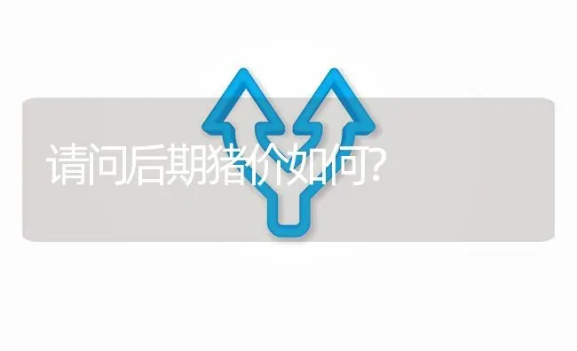 请问后期猪价如何? | 养殖问题解答