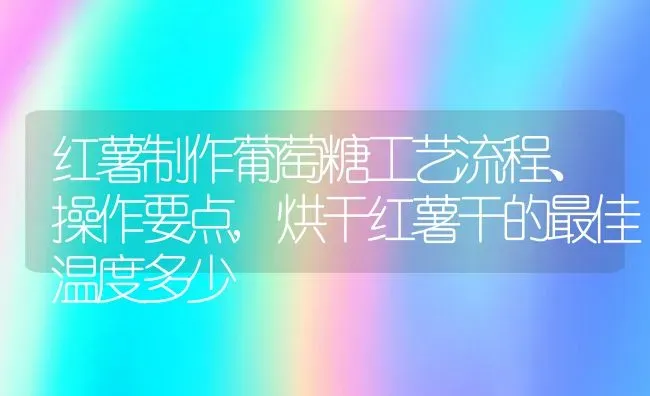 红薯制作葡萄糖工艺流程、操作要点,烘干红薯干的最佳温度多少 | 养殖常见问题