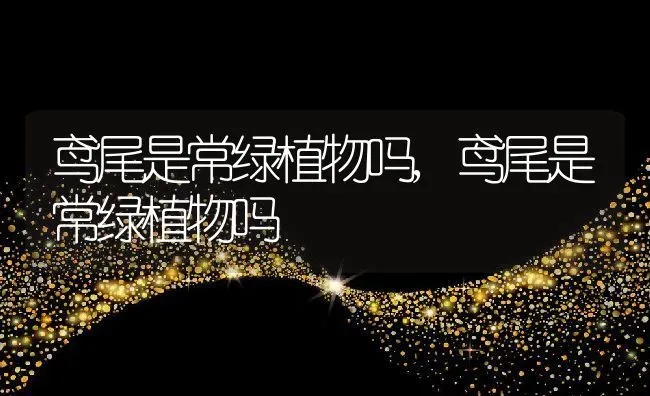 预计2022年花生价格走势,2022花生种植面积预测？ | 养殖常见问题