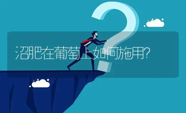 沼肥在葡萄上如何施用? | 养殖问题解答