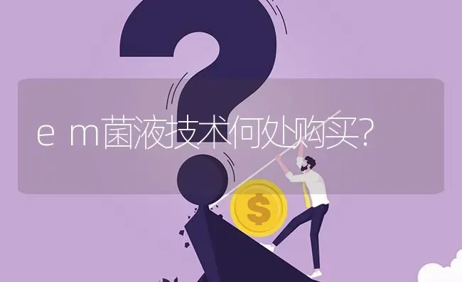 em菌液技术何处购买? | 养殖问题解答