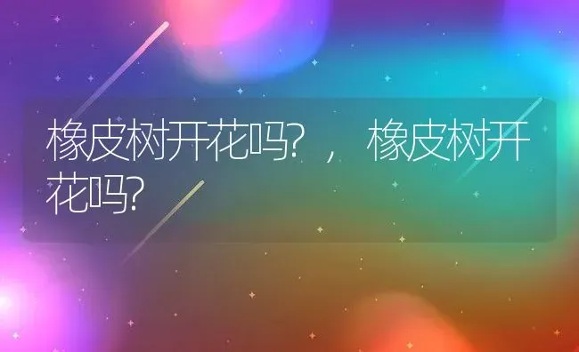 橡皮树开花吗?,橡皮树开花吗? | 养殖常见问题