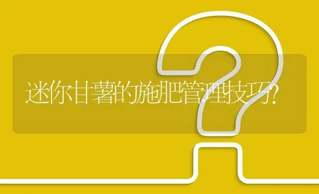 迷你甘薯的施肥管理技巧? | 养殖问题解答