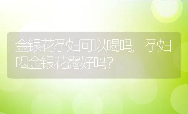 金银花孕妇可以喝吗,孕妇喝金银花露好吗？ | 养殖常见问题