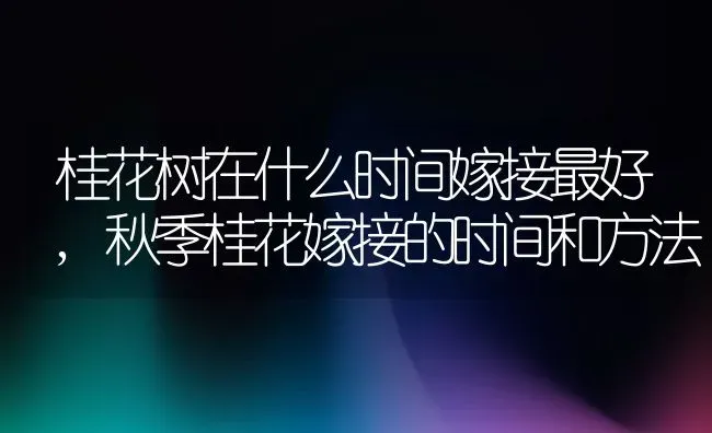 桂花树在什么时间嫁接最好,秋季桂花嫁接的时间和方法 | 养殖常见问题