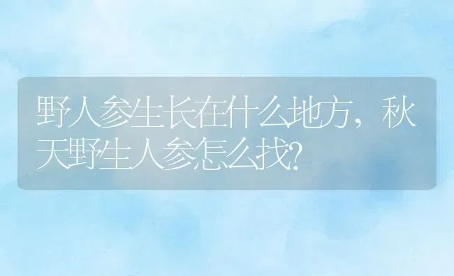 野人参生长在什么地方,秋天野生人参怎么找？ | 养殖常见问题