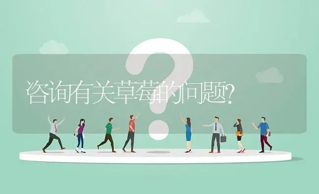 咨询有关草莓的问题? | 养殖问题解答