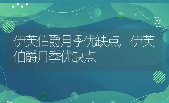 伊芙伯爵月季优缺点,伊芙伯爵月季优缺点 | 养殖常见问题