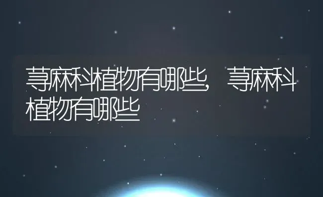 玫瑰什么时候开花,玫瑰什么时候开花 | 养殖常见问题