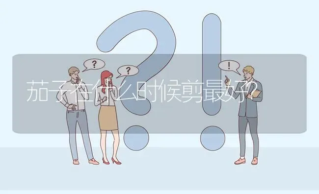 茄子在什么时候剪最好? | 养殖问题解答