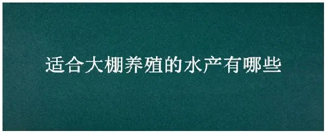 适合大棚养殖的水产有哪些 | 生活常识