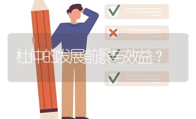 杜仲的发展前景与效益? | 养殖问题解答